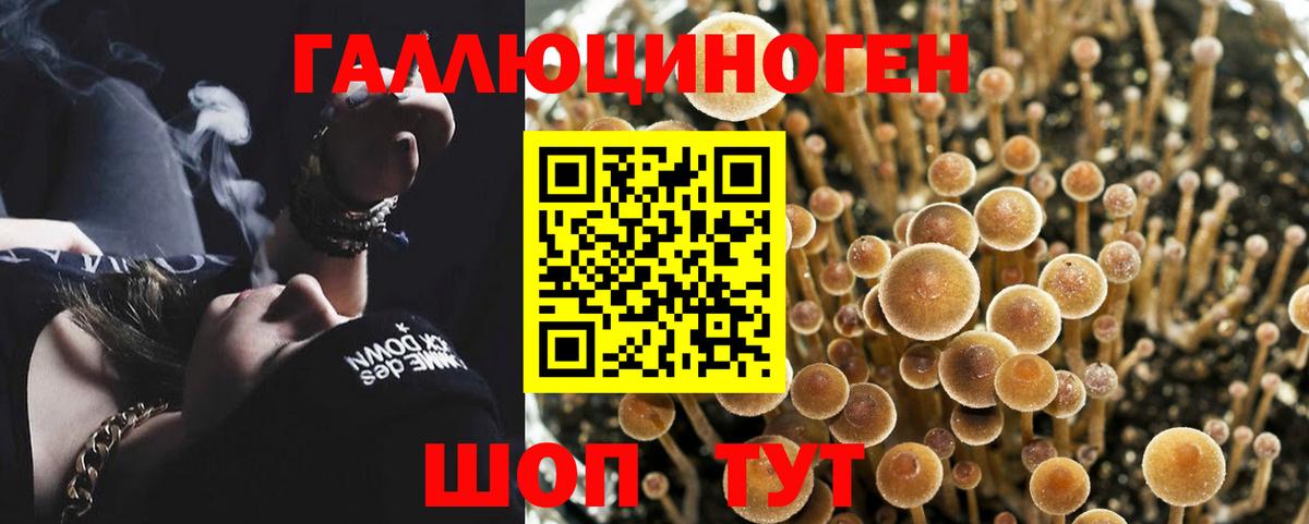 Галлюциногенные грибы GOLDEN TEACHER  Вход с VPN  Тула 
